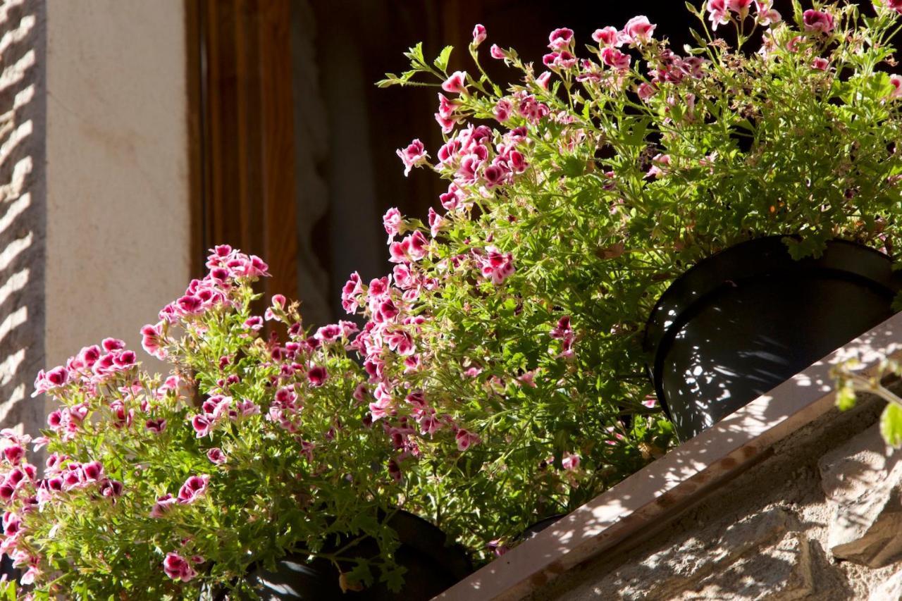Le Dimore Arcangelo Maria Apartment Assisi