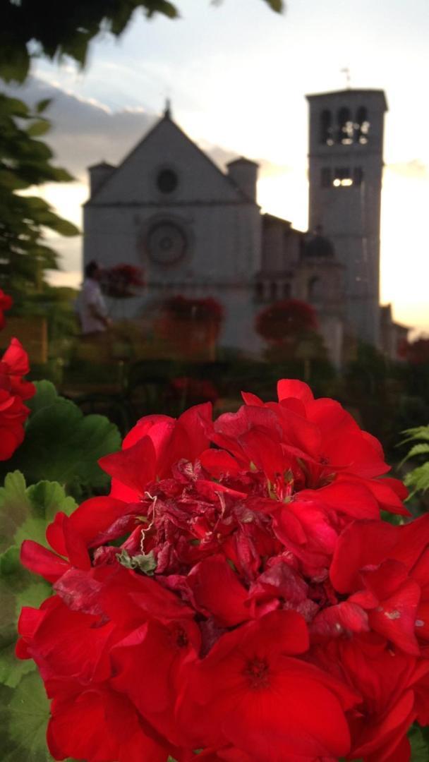 Le Dimore Arcangelo Maria * Assisi