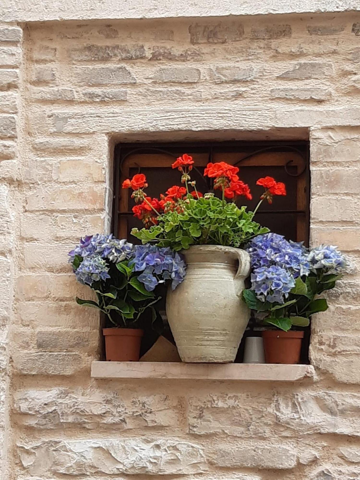 Le Dimore Arcangelo Maria Apartment